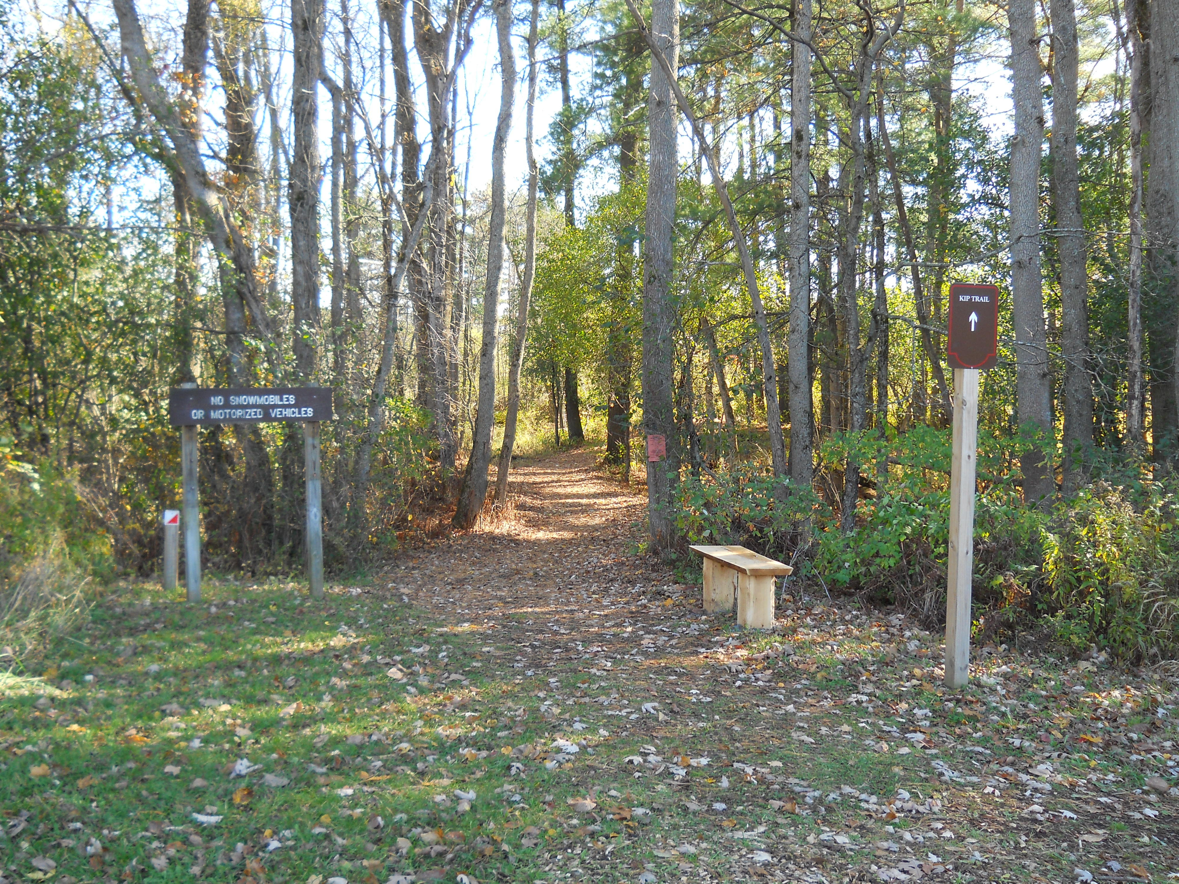 The orienteering course is located at Wachtmiester Field Station, near the start of the Kip Trail.