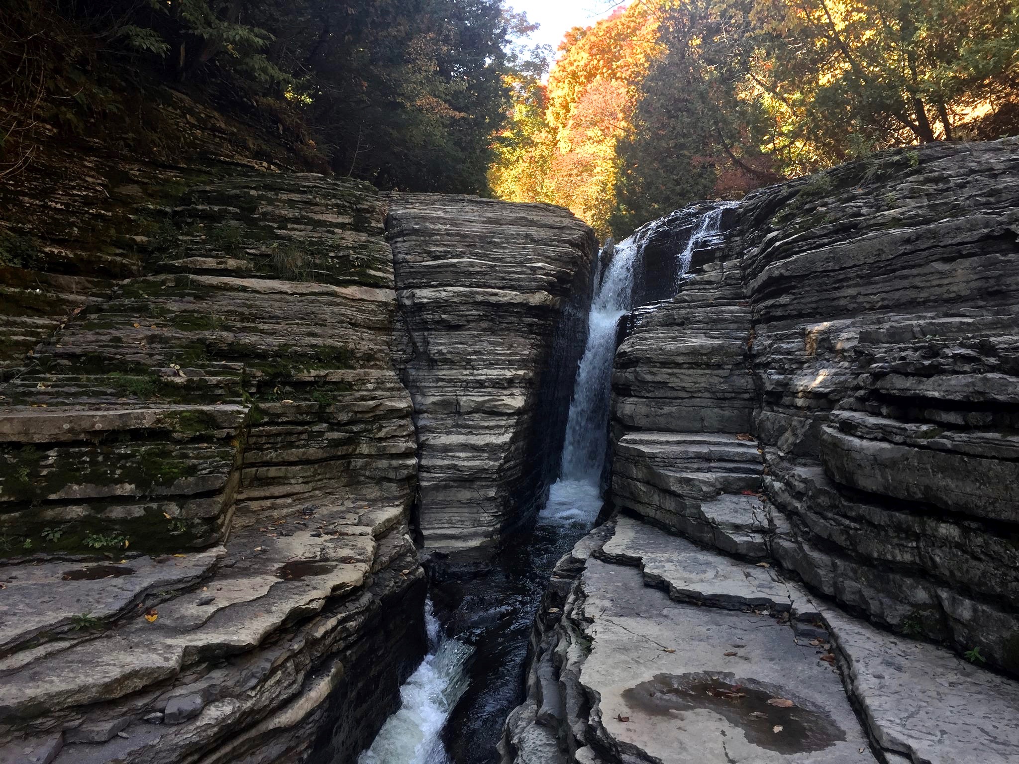 Layers of shale and limestone at Whitaker Falls. Photo: Helen Eifert