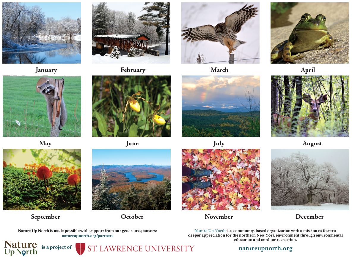 Back cover of calendar, with thumbnail photos of all 12 months and Nature Up North sponsor credits. 