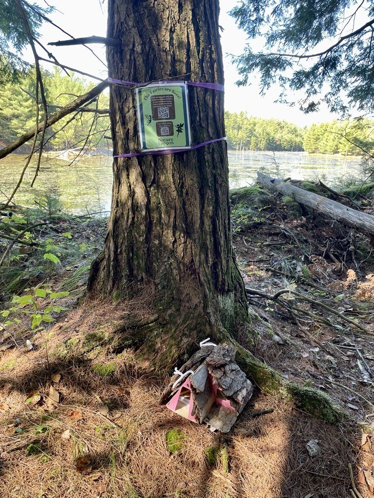 A fairy house on the Huckleberry Lake Trail