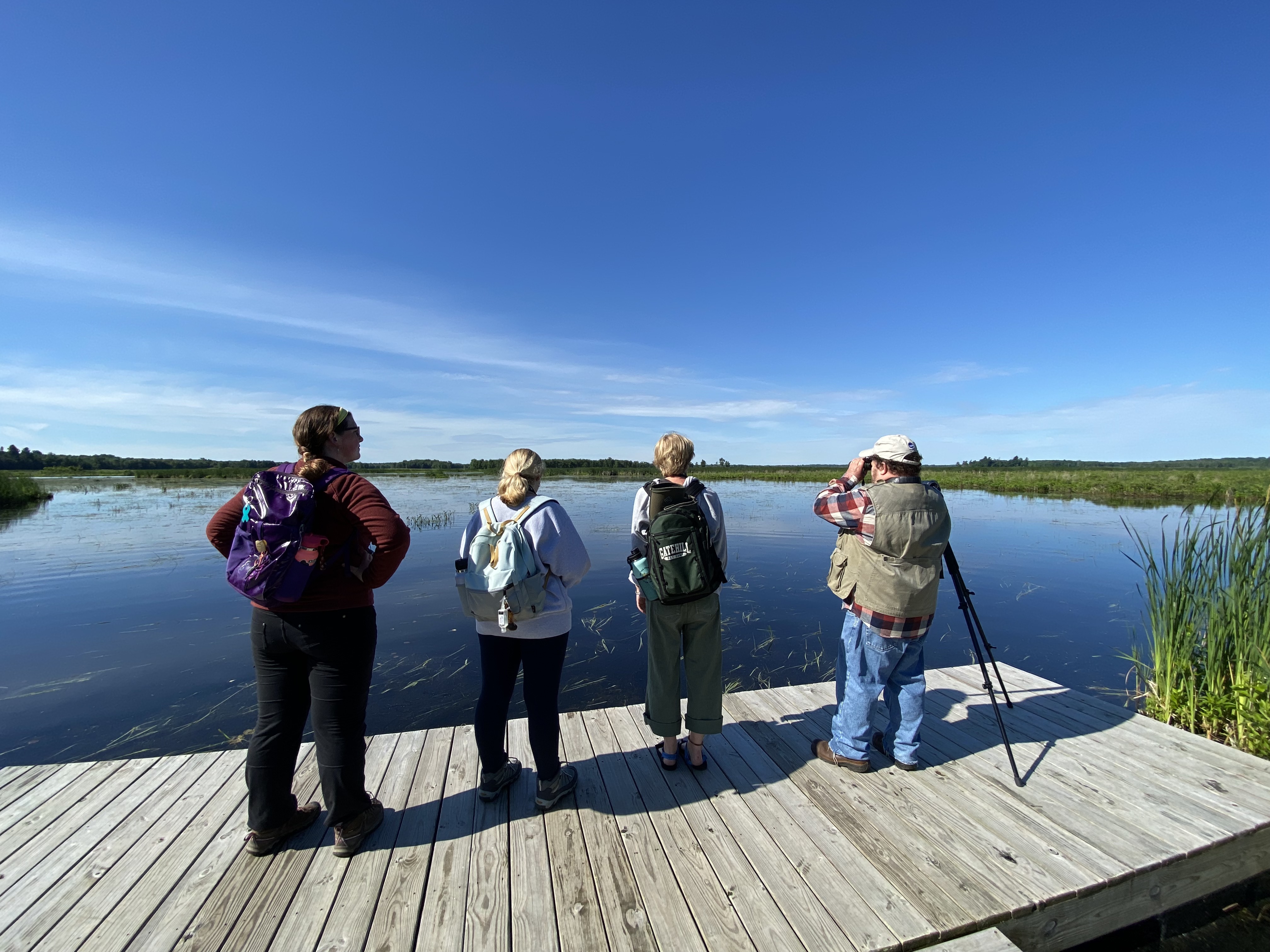 Nature Up North Interns survey a marsh from a boardwalk.