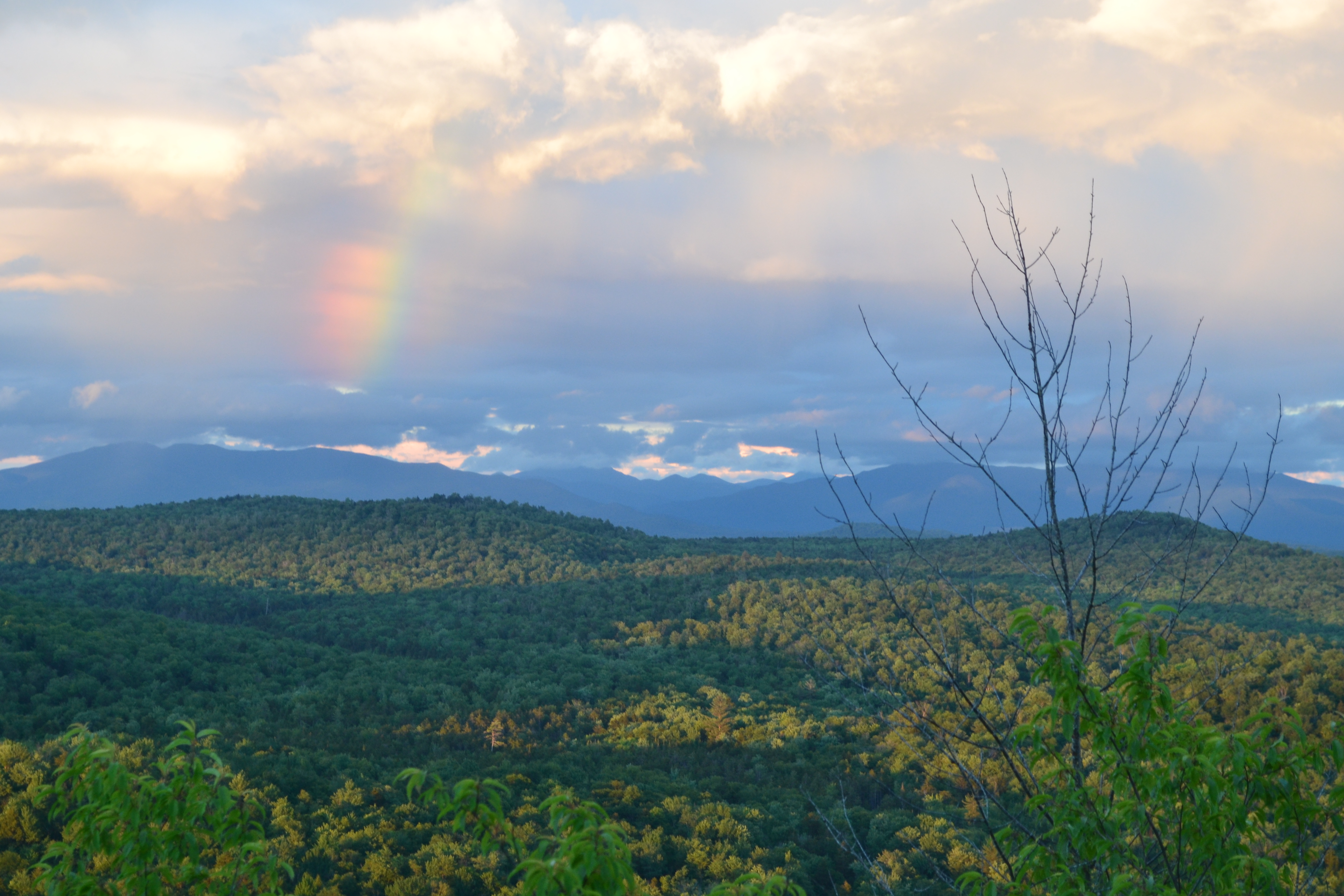 Featured photo for the month of July, 2018 Calendar