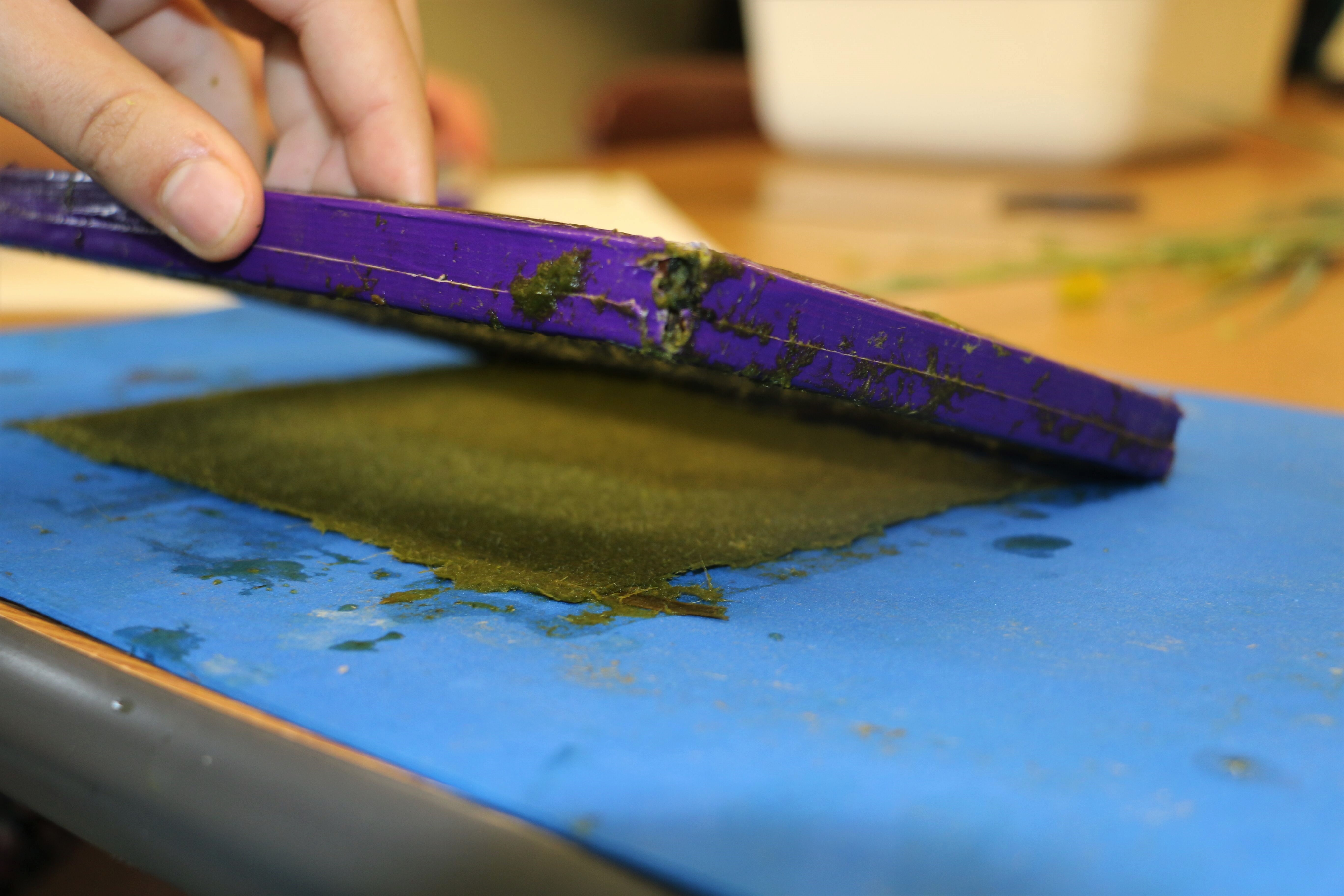 Lifting a paper making screen to reveal wet paper