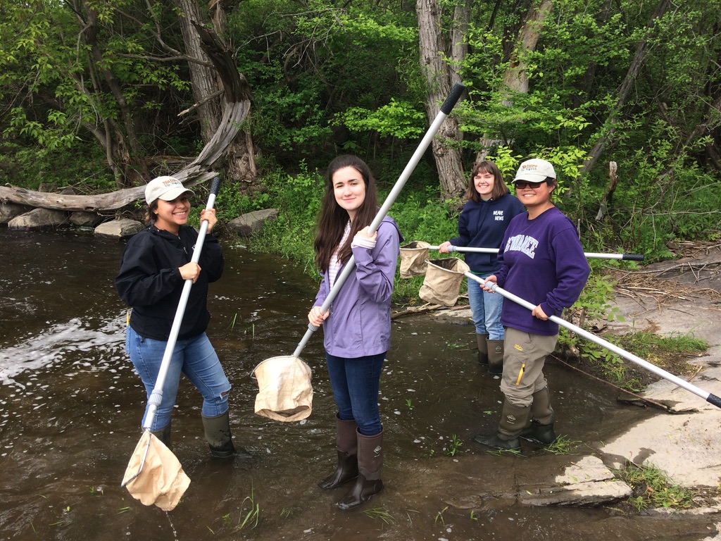 The interns learn water sampling using nets