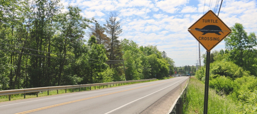 Turtle crossing sign, Rt. 27 in Canton