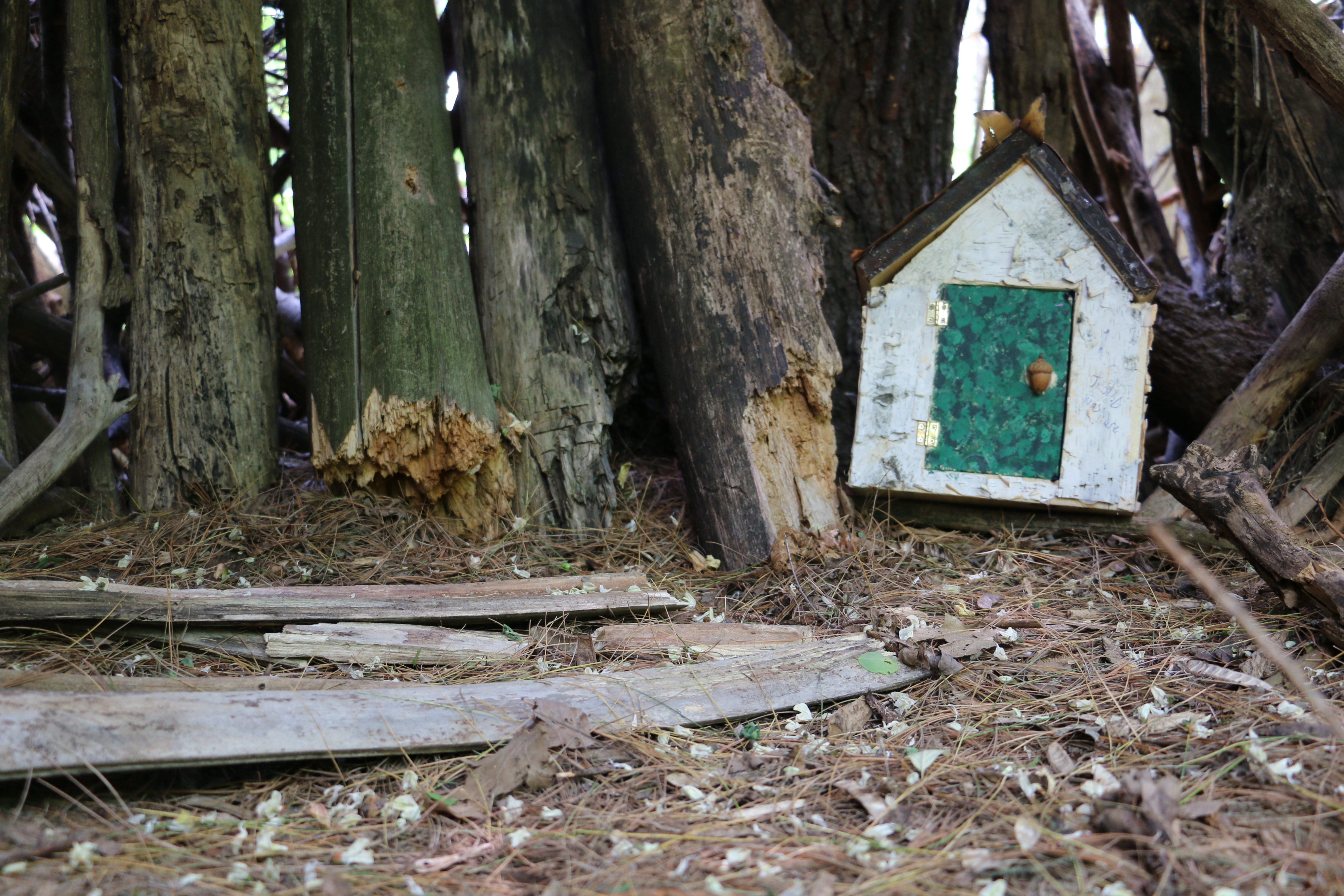 Fairy House