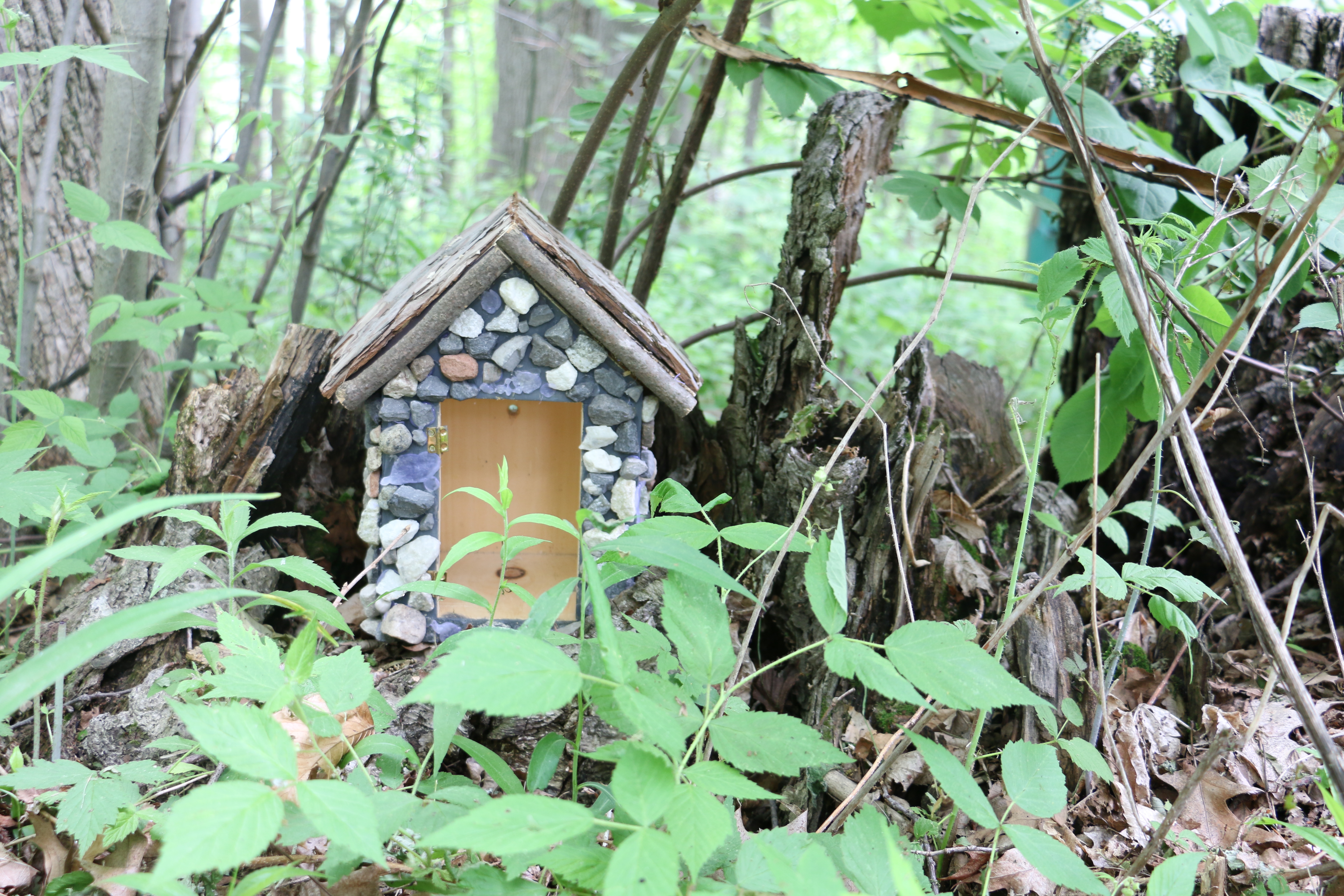 Fairy House