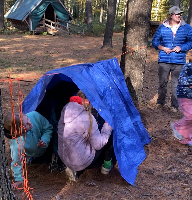 A tarp shelter