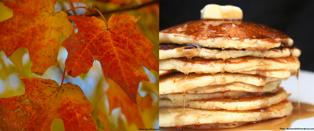 sugar maples leaves (left) and pancakes with maple syrup (right)