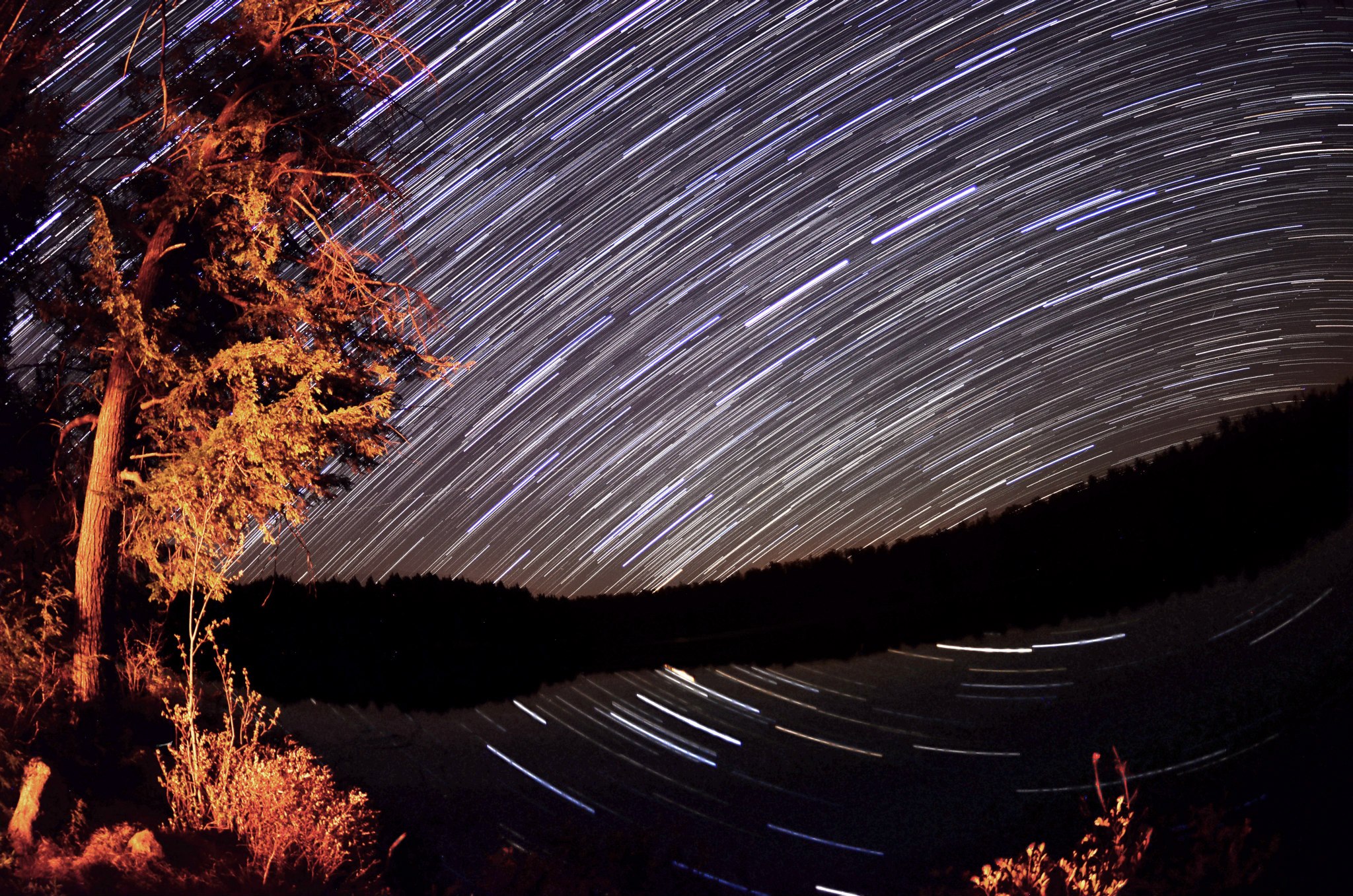 Stars over pond