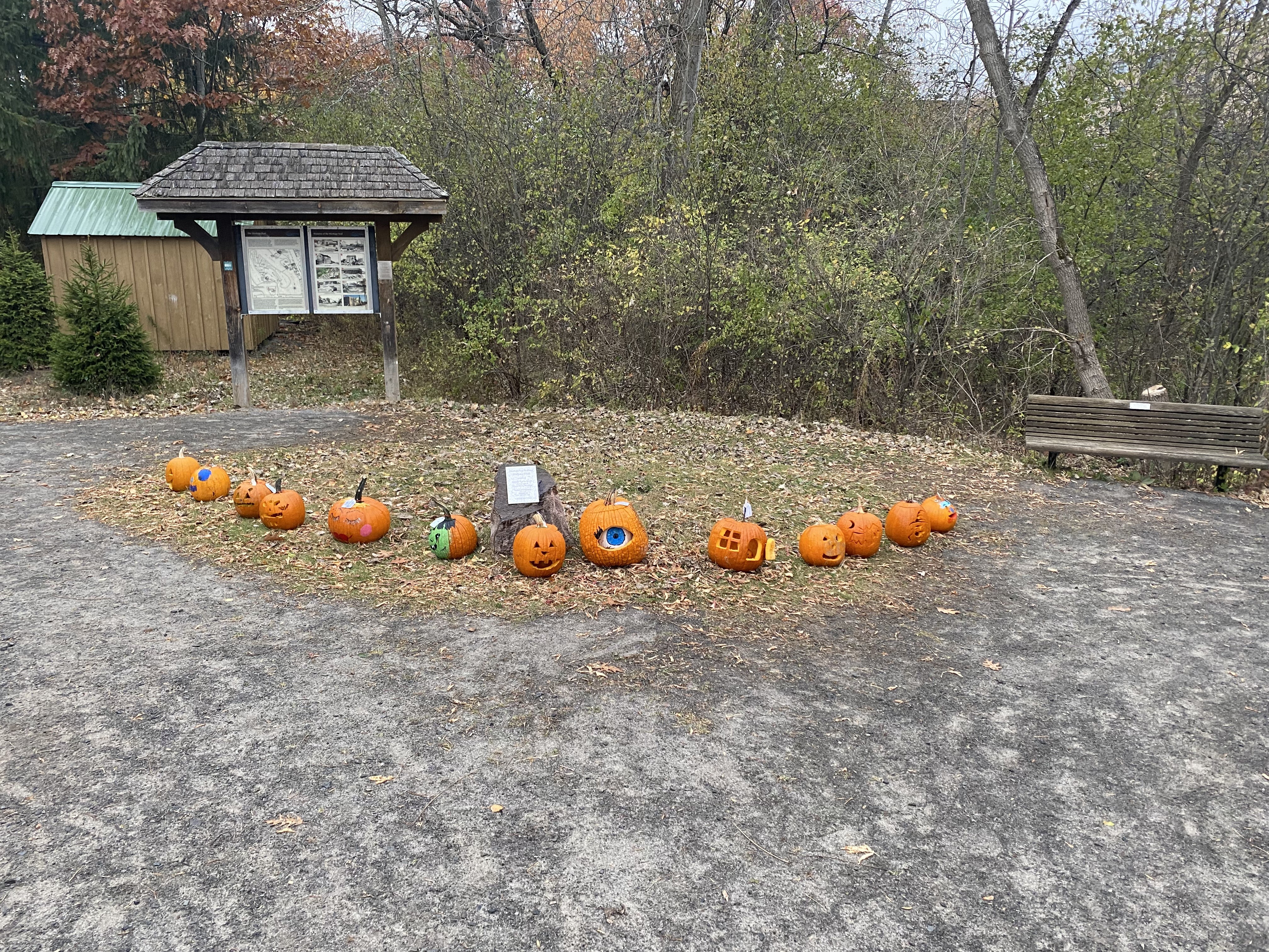 Pumpkins from NUN's carving event sit in Heritage Park