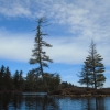 March paddle on the Oswegatchie River