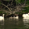 Wellesley Island Paddle