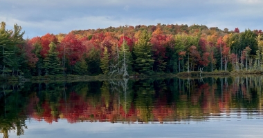 Fall trees along a lake's shoreline