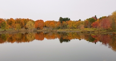 A fall canopy reflects a mirrored image in a glass-like river.