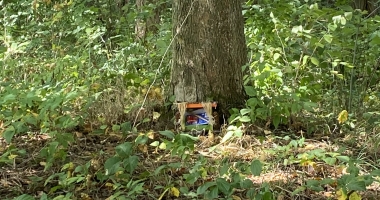 Munter Trail Fairy House