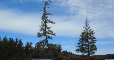 March paddle on the Oswegatchie River