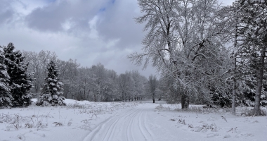 snowy view of nordic trials on SLU golf course