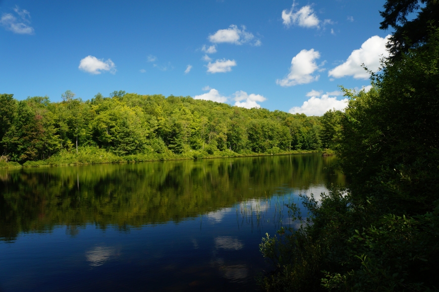 Allen Pond, Clare | Nature Up North