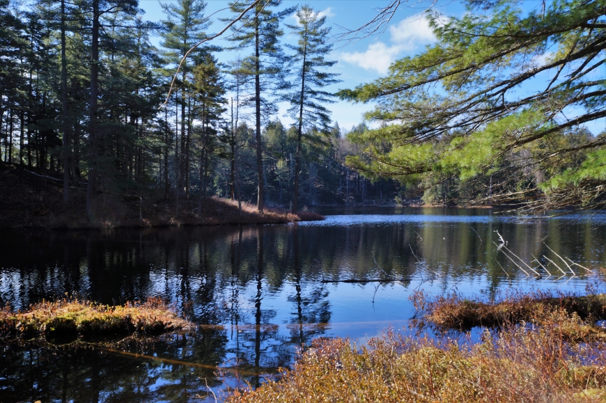 Horseshoe Pond in Gale (Piercefield) NY. | Nature Up North