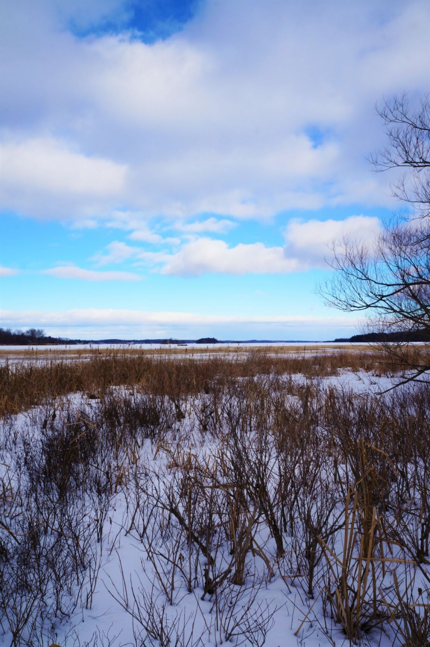 Lonesome Bay Hammond | Nature Up North