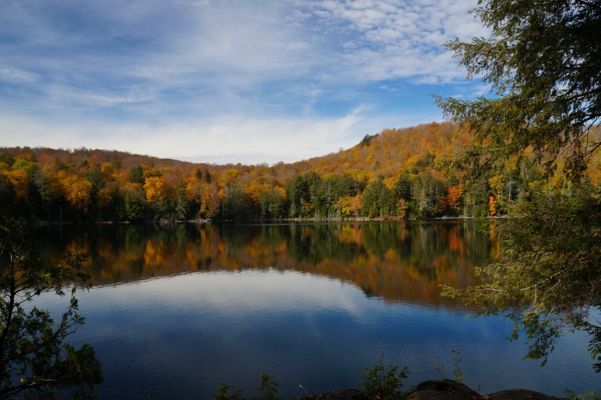 Deer Pond- Tupper Lake | Nature Up North