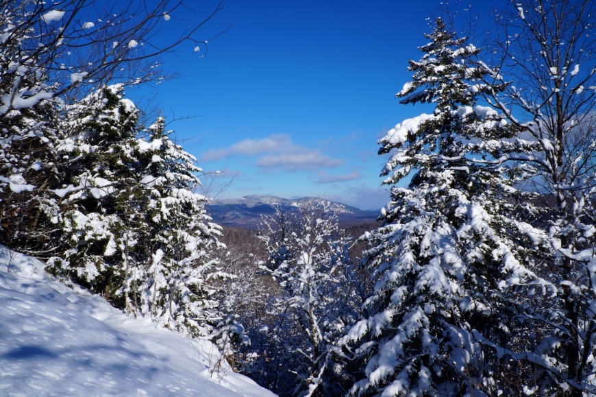 Coney Mt -Tupper Lake | Nature Up North