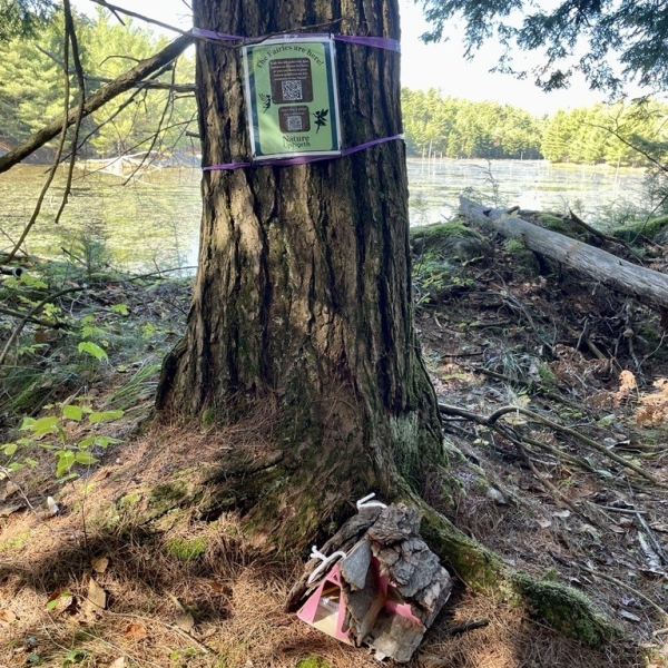 A fairy house on the Huckleberry Lake Trail