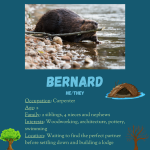 Profile for Bernard the beaver