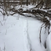 Porcupine "snow tube"